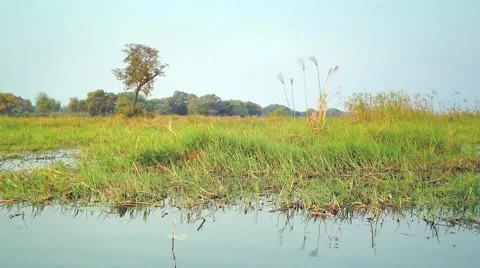 Okavango Delta in Botswana, Africa. Stock Footage 44102412