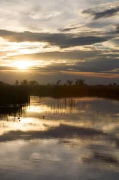 Okavango delta in botswana Stock Photos