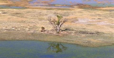 Okavango Delta, Botswana Stock Photos