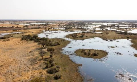 Okavango Delta, Botswana Stock Photos