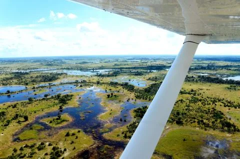 Okavango delta Stock Photos