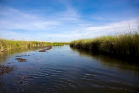 Okavango delta Stock Photos