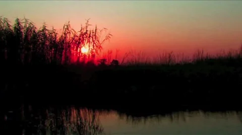 Okavango Delta sunset Stock Footage 951214