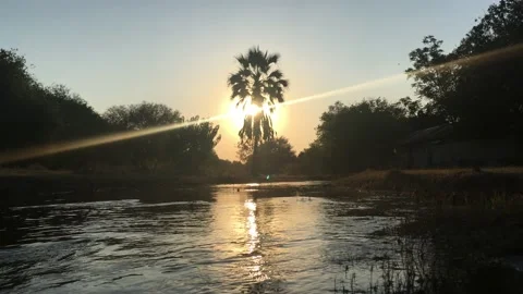 Okavango Delta Sunset, Stock Footage 137037466