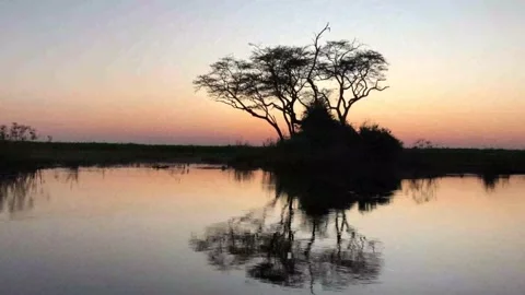 Okavango Delta Sunset River view from speed boat. Stock-Footage 203838872
