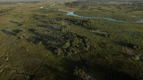 Okavango landscape aerial Stock Footage 186930683