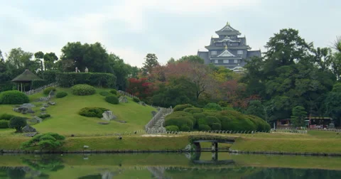 Okayama castle in fall Video stock 45413154