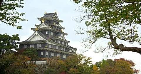 Okayama castle in fall Video stock 45417466