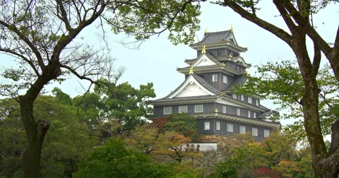 Okayama castle in fall Stock Footage 45423521