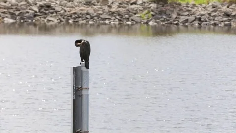 Okeechobee Lake Inlet with Crane on Pillar (Sequence) Stock Footage 74597464