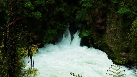 Okere falls water fall wide shot Stock Footage 229074351