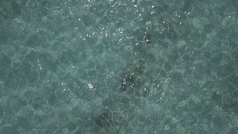 Okinawa Stock Footage 121723019