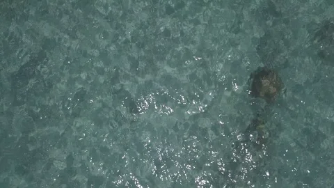 Okinawa Stock Footage 121723112