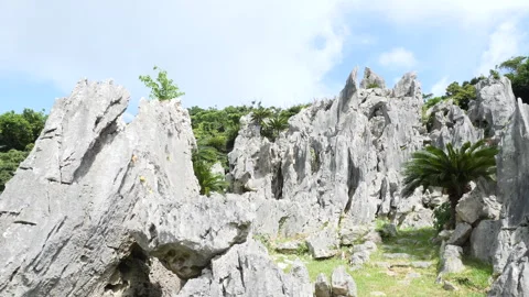 Okinawa's Great Stone Forest Bread Footage Video stock 332886683