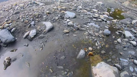 Oking at ground tiled down to greenish brown still water with dirt mud colorful  Stock Footage 265493894