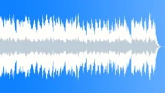 Oklahoma Crude (WP) 02 Alt1 (south,civil war,americana,acoustic guitars,slide) Stock Music