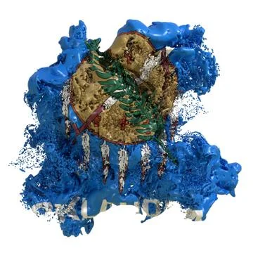 Oklahoma flag liquid Stock Illustration