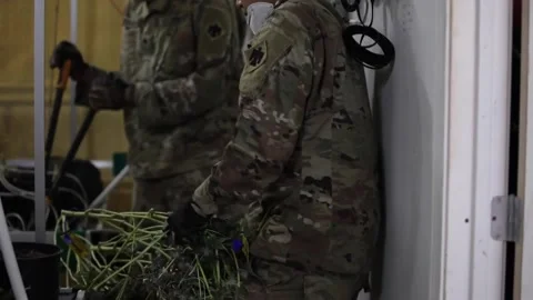 Oklahoma Guardsman removing marijuana plants from illegal drug growing facility Video stock 220478978