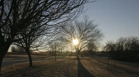 Oklahoma Sunrise Through Trees Stock Footage 10794167