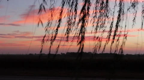 Oklahoma Sunrise with trees Видео 41382020