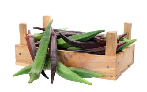 Okra (Abelmoschus) Stock Photos