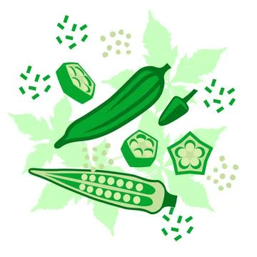 Okra also known Ladyfinger elements abstract vector design background Stock Illustration