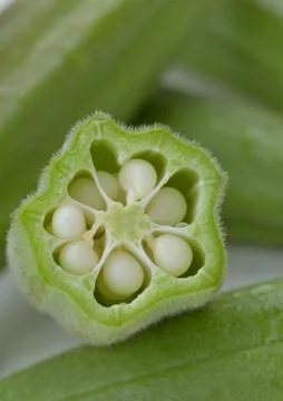 Okra Closeup Stock Photos