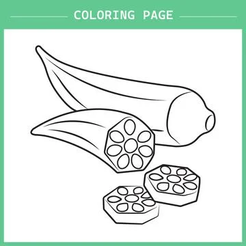 Okra Coloring Page Vector イラスト素材