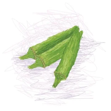 Okra Stock Illustration