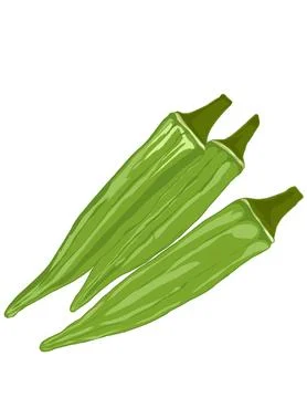 Okra Stock Illustration
