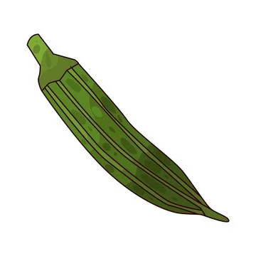 Okra illustration Stock Illustration