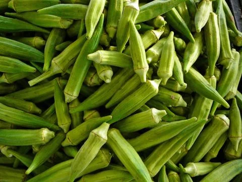 Okra Stock Photos