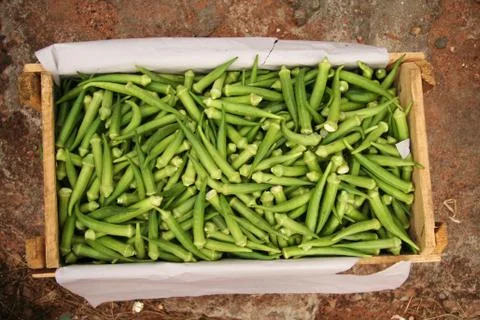 Okra Stock Photos