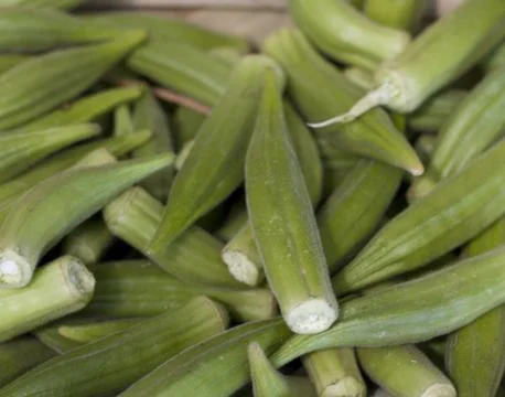 Okra Stock Photos