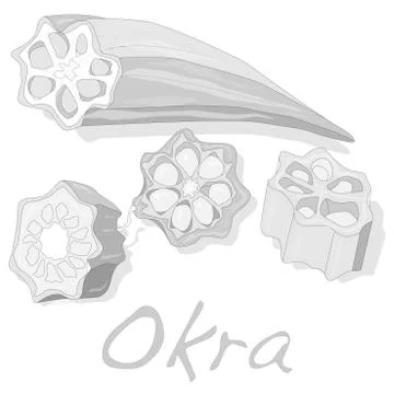Okra plant vector illustration Stock Illustration