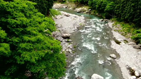 Oktama River Stream 库存影片 332886766