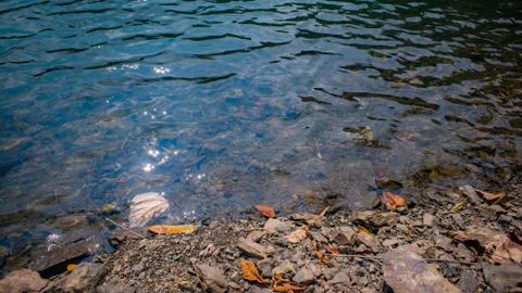 Okutama Lake Water surface(summer)_44 Stock Photos