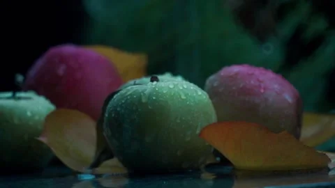 Olamalar Stock Footage 234379760