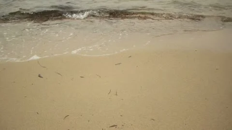 Olas niza Stock Footage 11322065