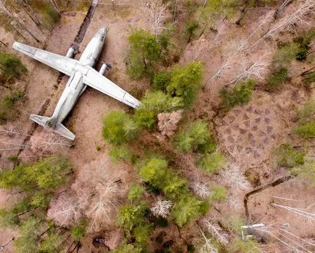 Old AN-8 plane in the forest 스톡 사진