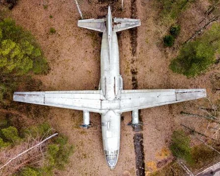 Old AN-8 plane in the forest 스톡 사진