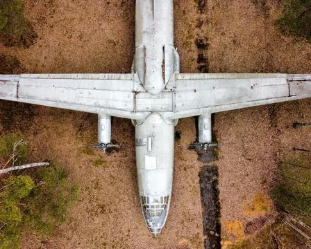 Old AN-8 plane in the forest 스톡 사진