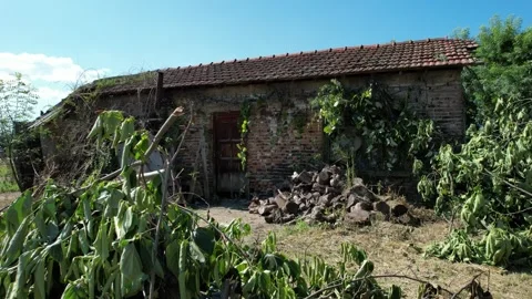 Old abandon house Stock Footage 254435344