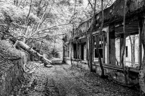Old abandoned asylum Stock Photos