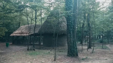 Old Abandoned barn in the woods Stock-Footage 108427632