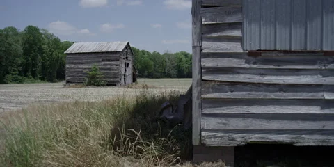 Old Abandoned Barns in a field Stock Footage 168438141
