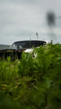 An old, abandoned, battered car, standing in the thick, tall grass Stock Photos