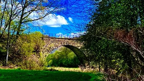 Old abandoned bridge against the background of old trees Countryside Stock Photos