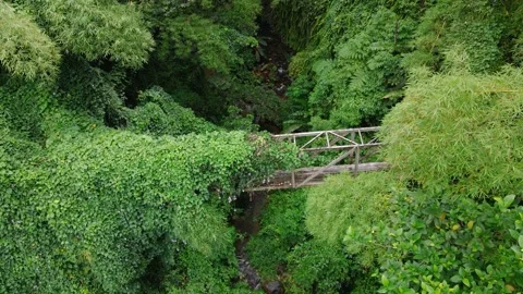 Old abandoned bridge Stock Footage 205291937