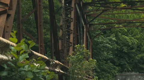Old abandoned bridge. Sochi. Stock Footage 51323672